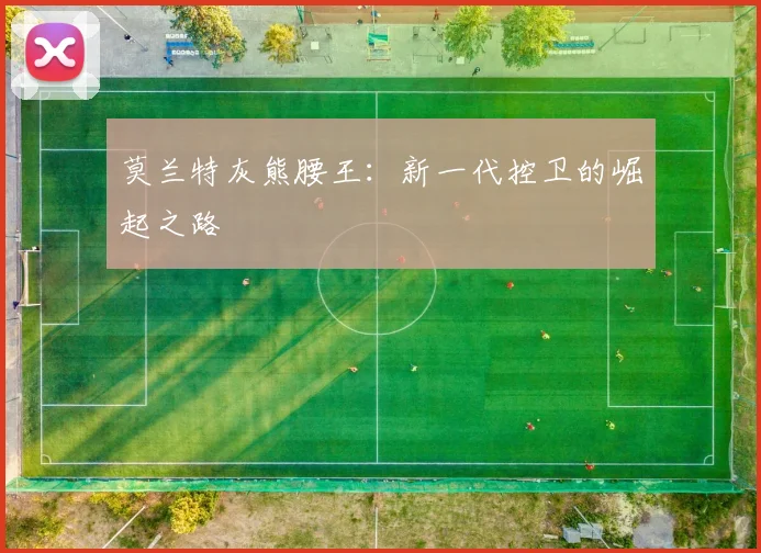 莫兰特灰熊腰王：新一代控卫的崛起之路